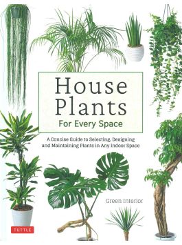 House Plants for Every Space
